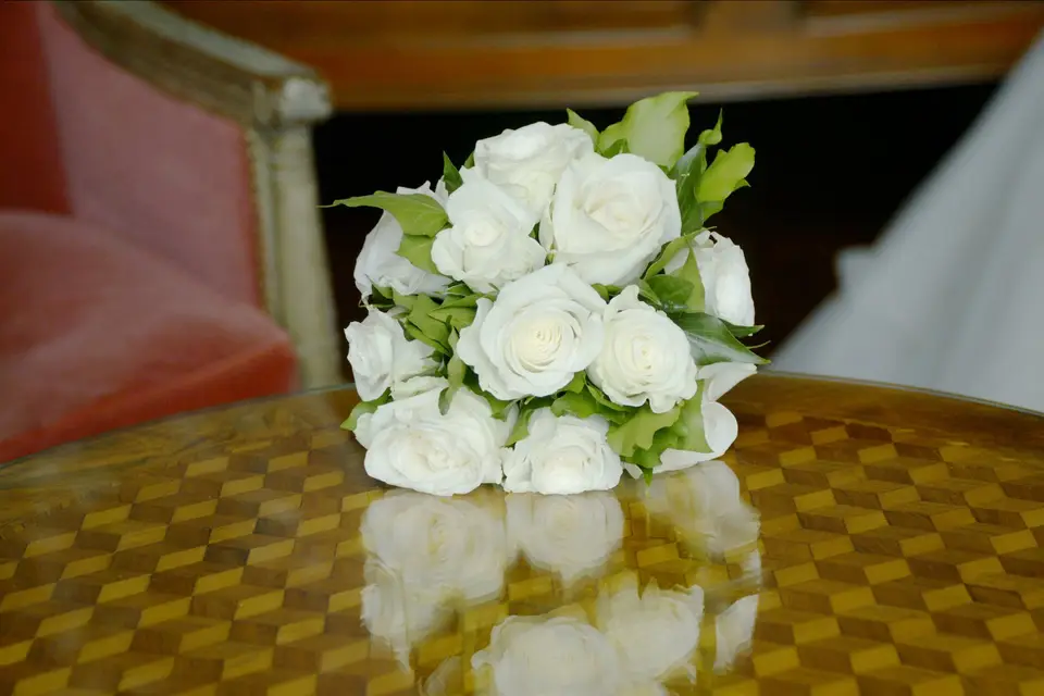 Ô Production — photo 2