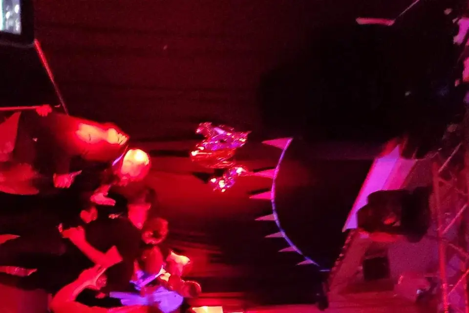 Dyl'animason — photo 3