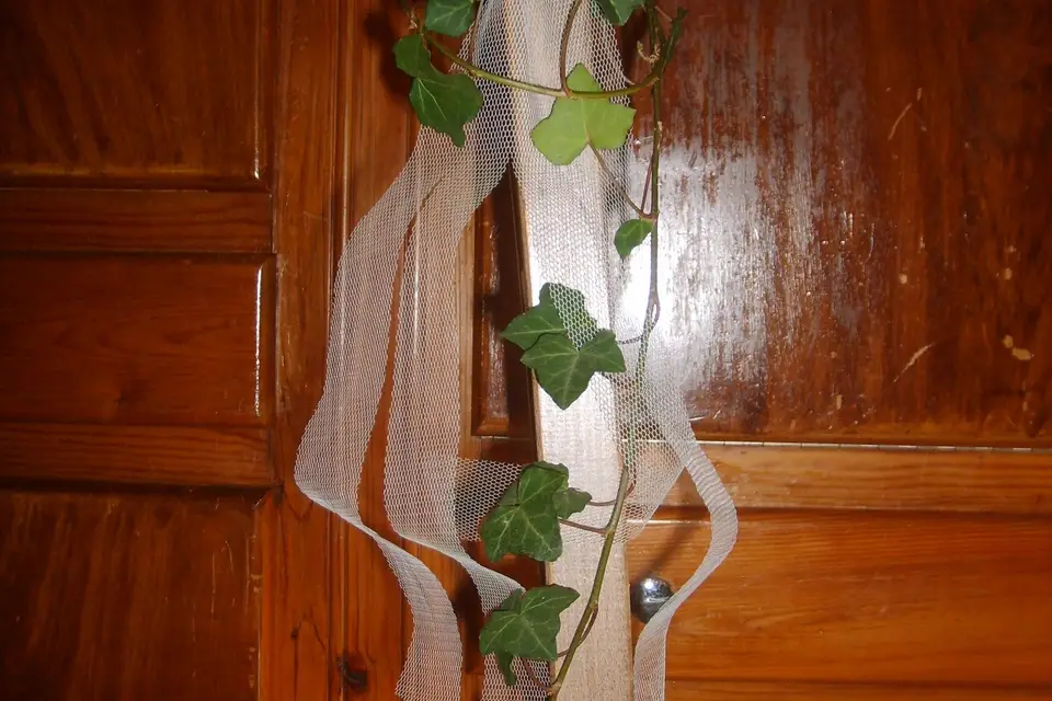 Cathy, organisatrice de Mariage — photo 8