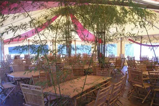 Bambou Anjou Réception — photo 6