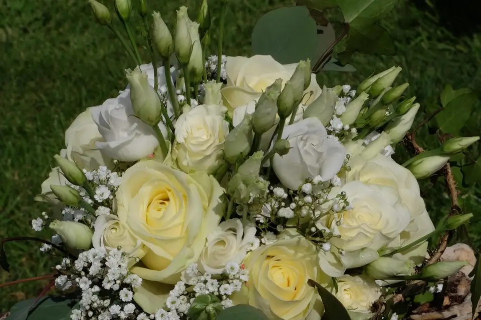 Bellis Event — photo 7