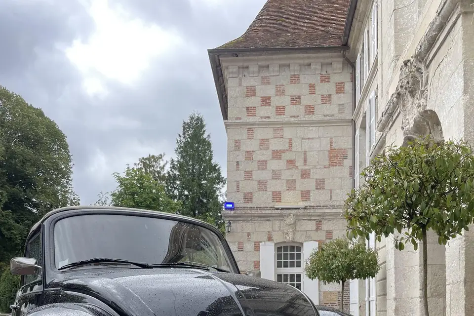 Bellis Event — photo 8