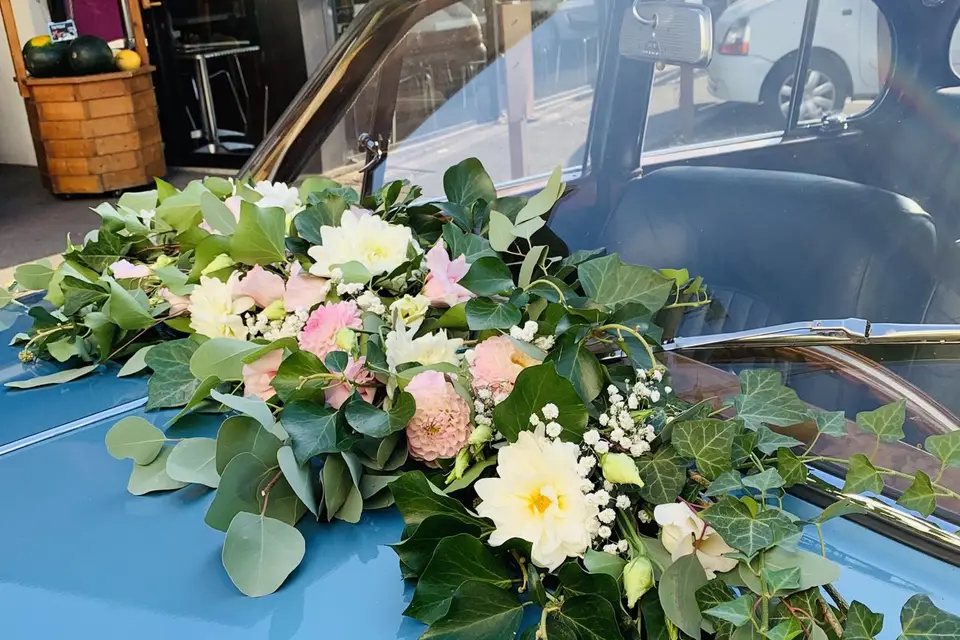 Rosae Pétale — photo 7