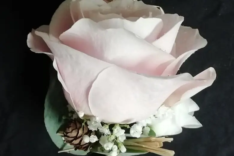 Pensee Fleurie — photo 8