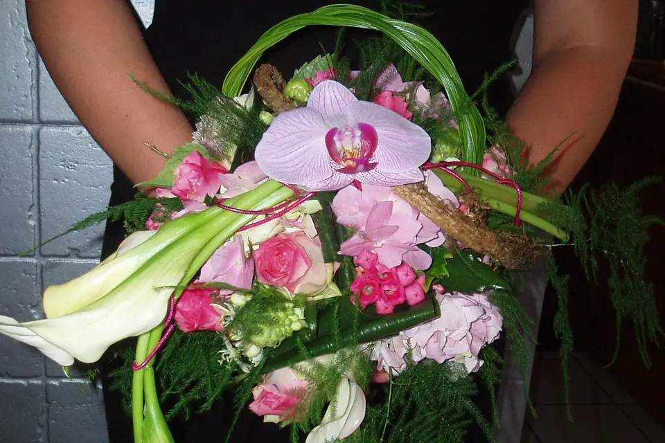 Pivoine et Pissenlit — photo 3