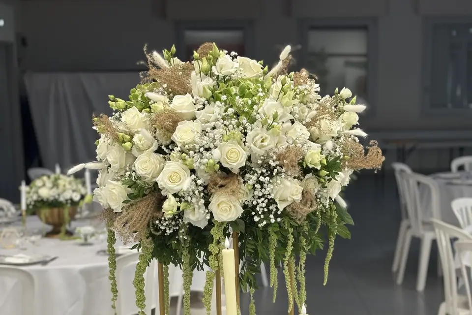 Mon Banc Bourguignon — photo 4