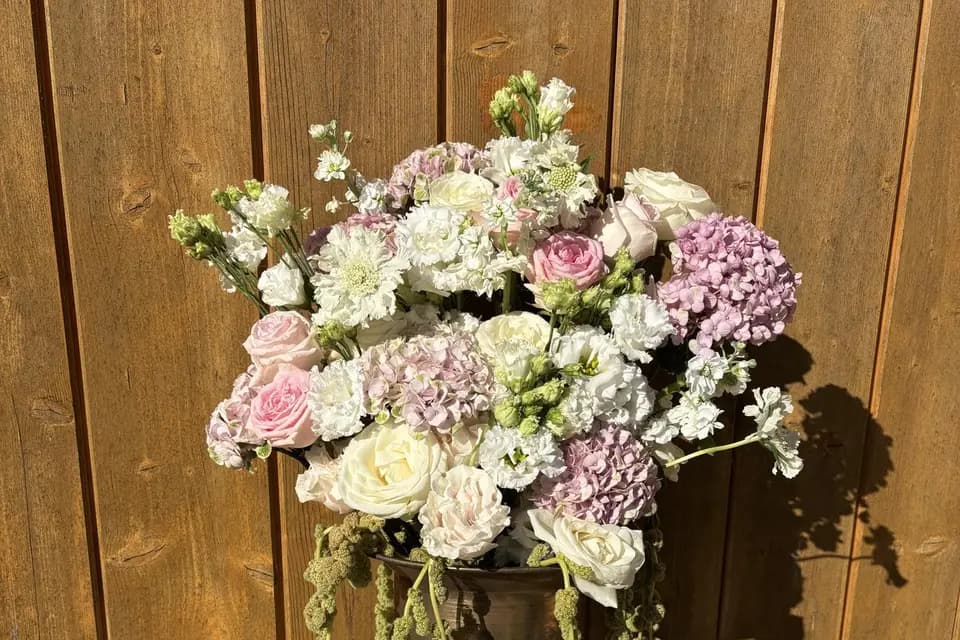 Mon Banc Bourguignon — photo 1