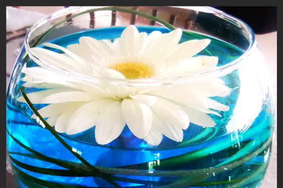 LBC Décoration — photo 1