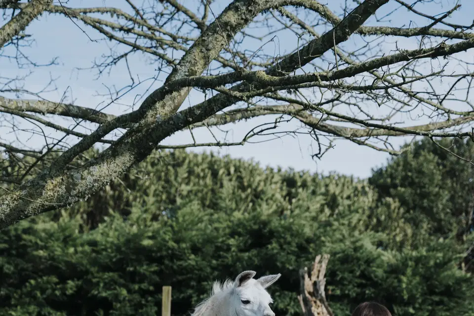 La Ferme Lodan — photo 5