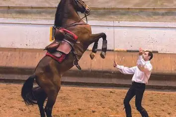 Crescendo — photo 1