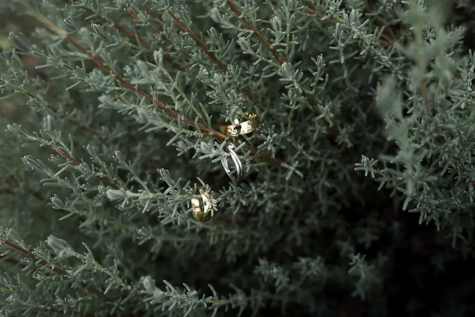 Marion Létoffé — photo 5