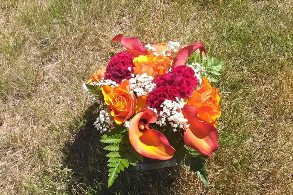 1 Jour 1 Histoire Events — photo 4