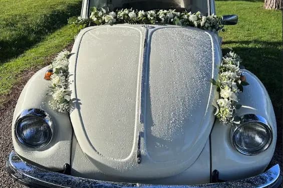 Voitures Passion - Bordeaux — photo 7