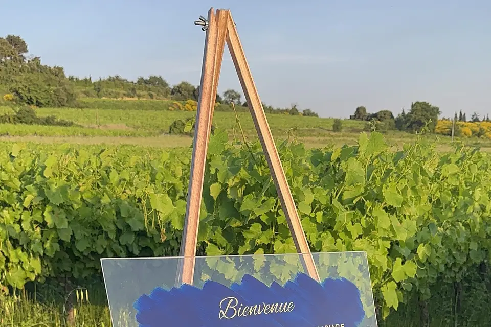 Zouille Events — photo 3