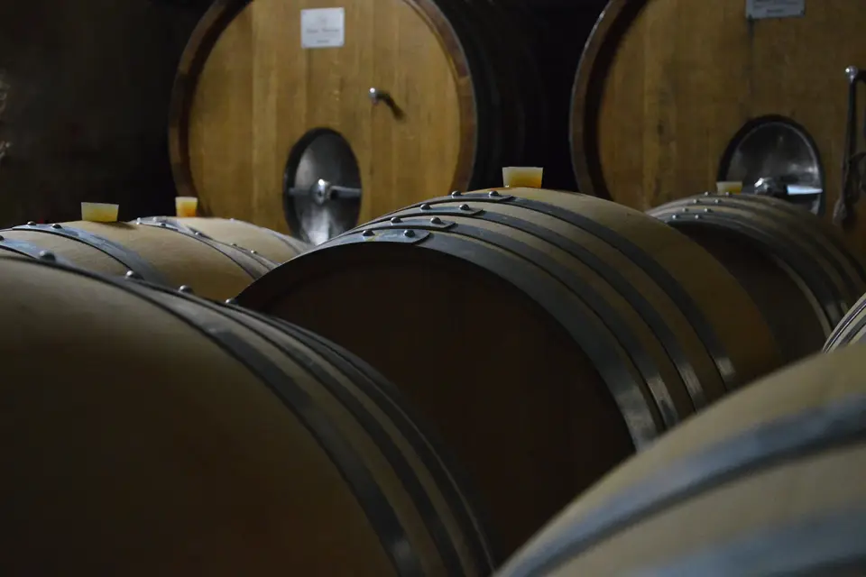 Domaine des Hautes Ouches — photo 3