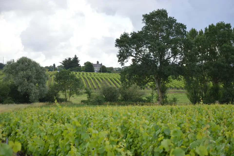 Domaine des Hautes Ouches — photo 8