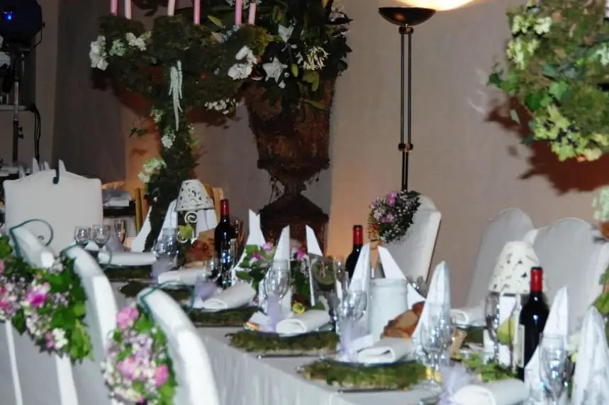 Château de la Chapelle d'Angillon — photo 3