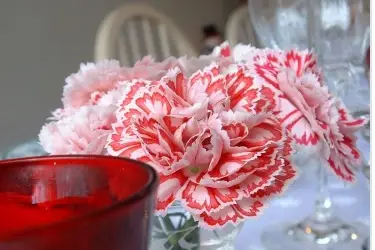 Astuce Communication — photo 1