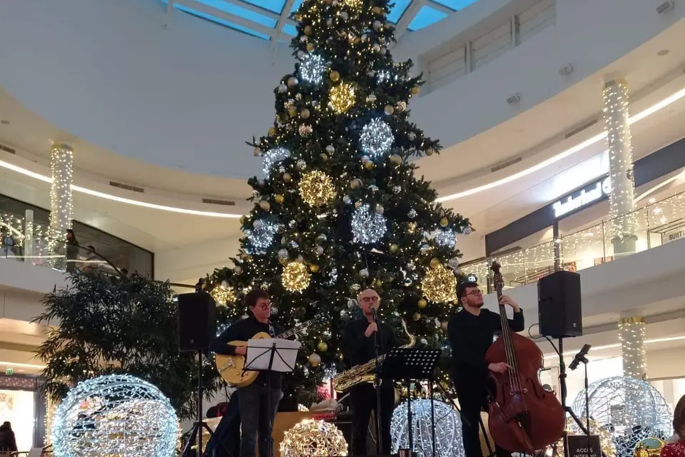 Blue Train Trio — photo 1