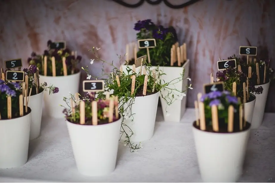 Cocktail & Mariage Concepts — photo 2