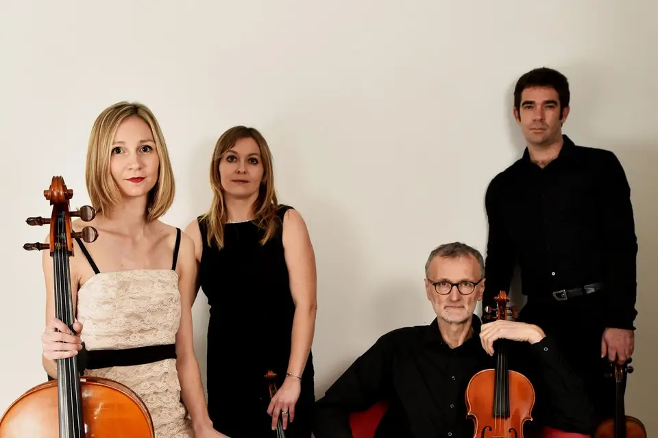 Musics Animations — photo 4