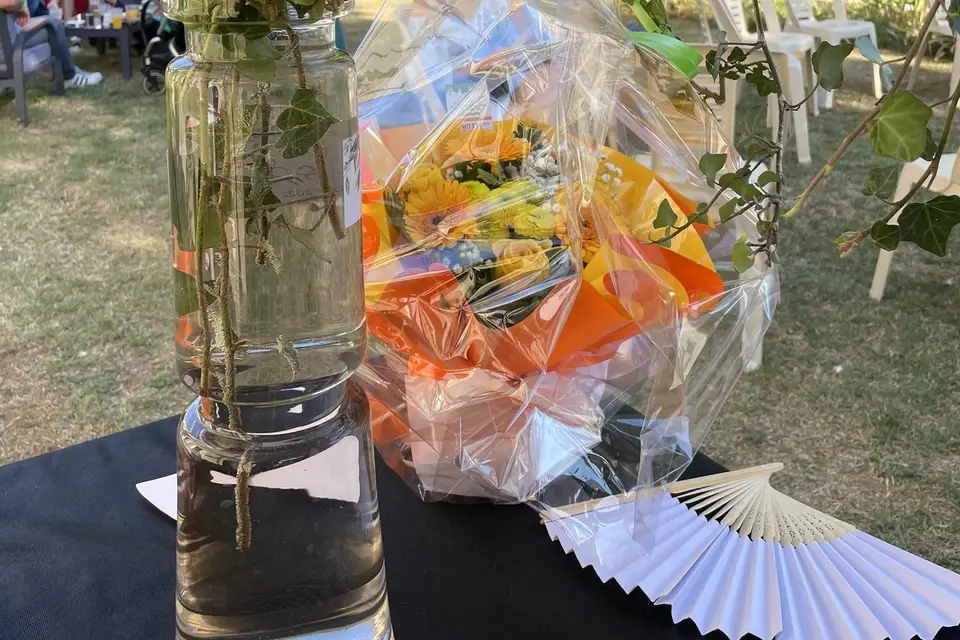 Château de Mesnac — photo 8