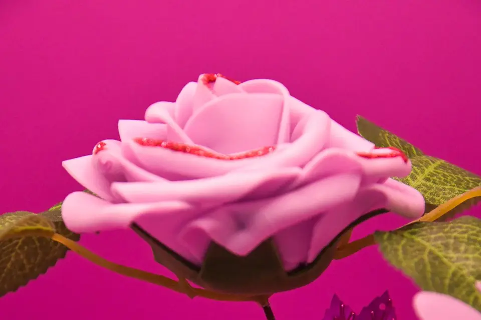 Teintenier Event & Déco — photo 4