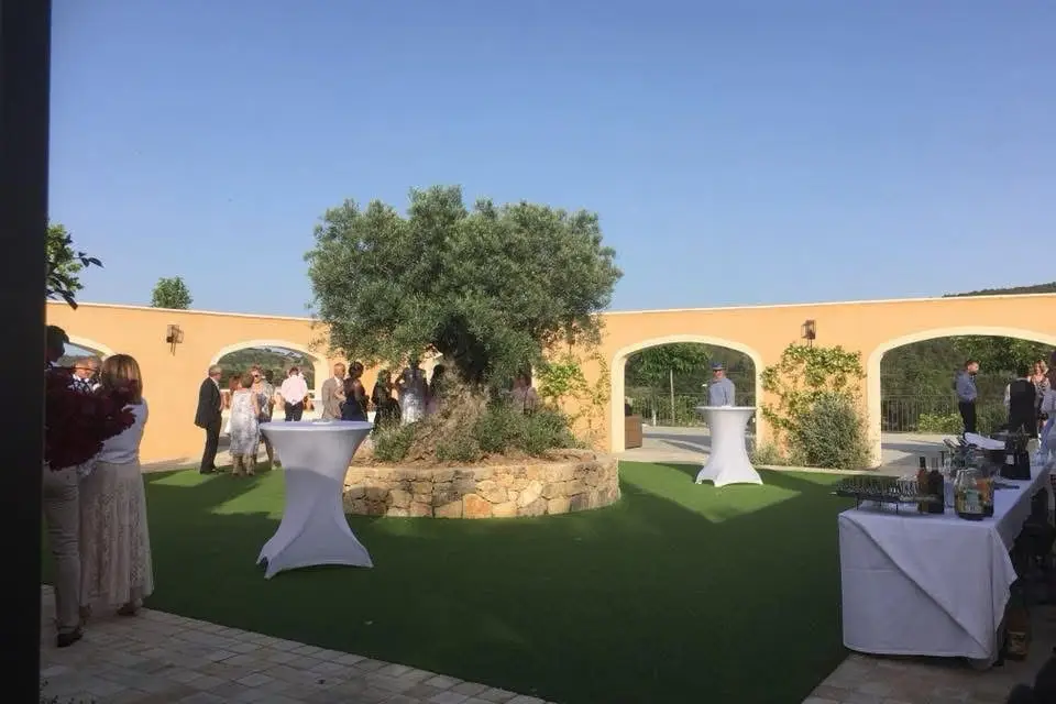 Le Van Dam — photo 5