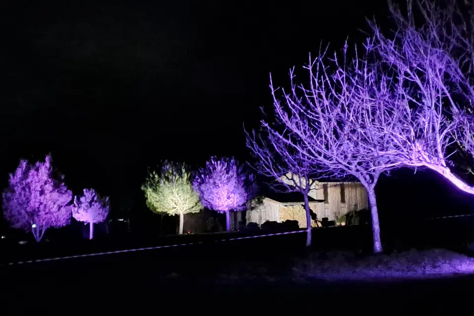 Light Event — photo 6