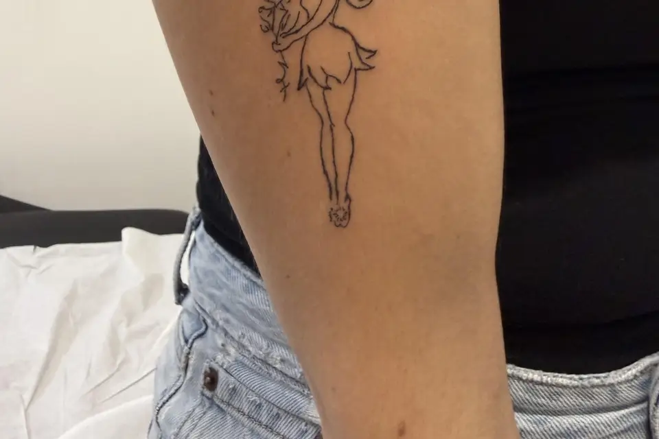 Sophie Dermo & Tatou — photo 4