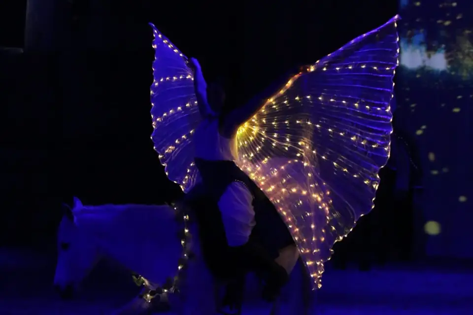 Mégane Desesquelle — photo 2