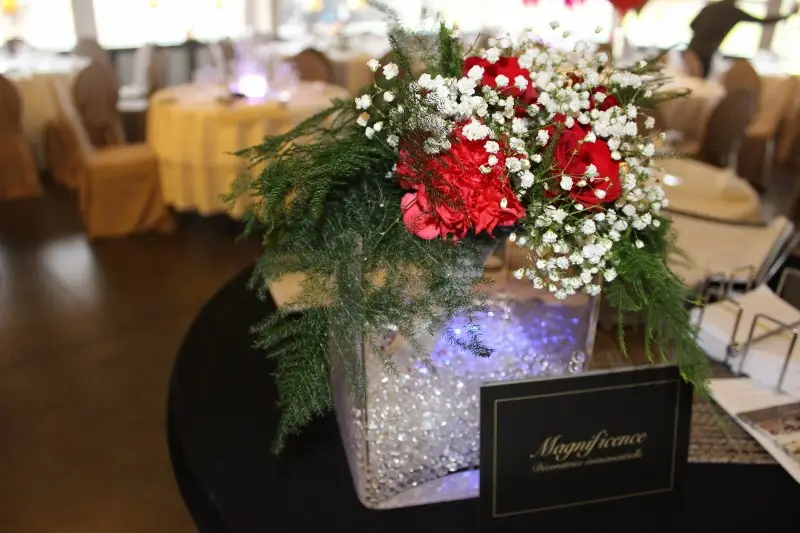 Magnificence — photo 5