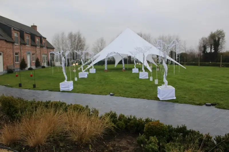 Magnificence — photo 8