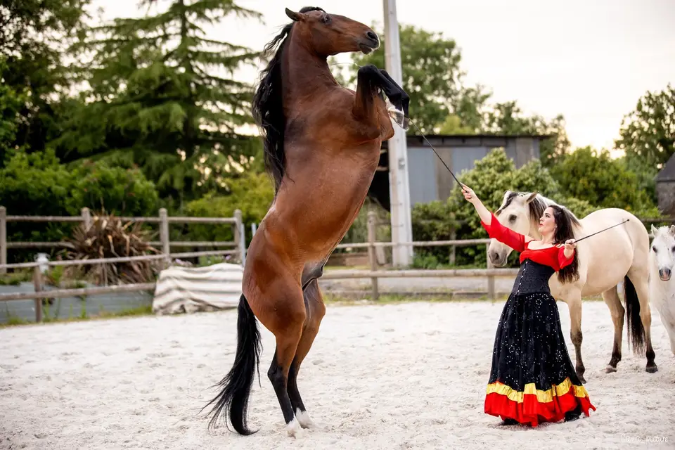 Mégane Desesquelle — photo 6