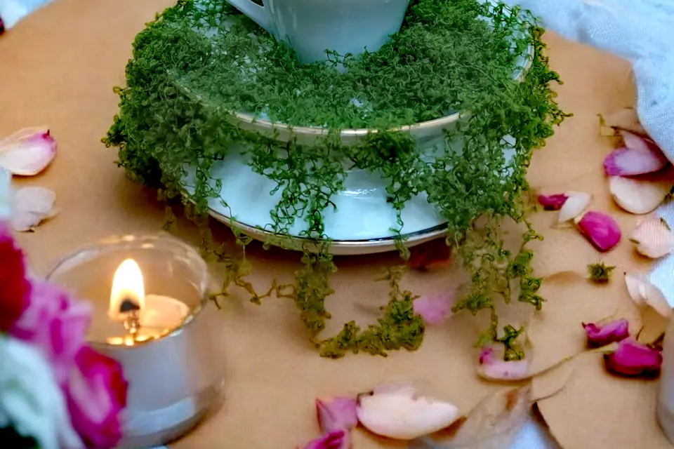 Madame B. La Dame de Pique — photo 1