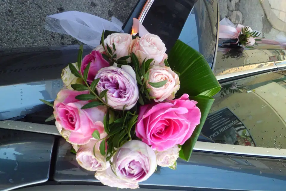 Aux Fleurs De Provence — photo 7