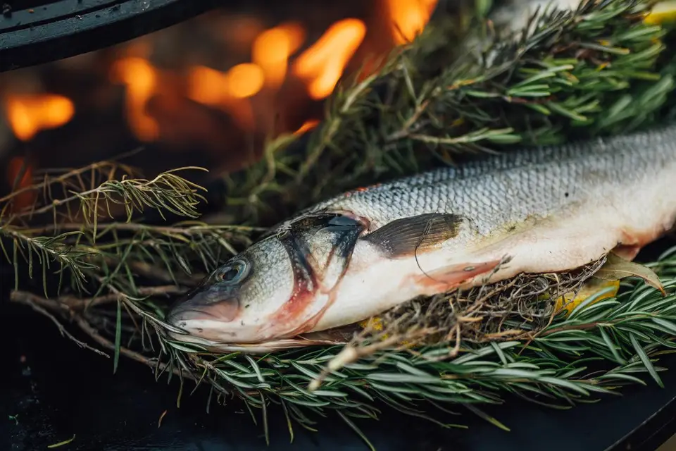 Tournebroche Gueuleton Bourgogne — photo 5