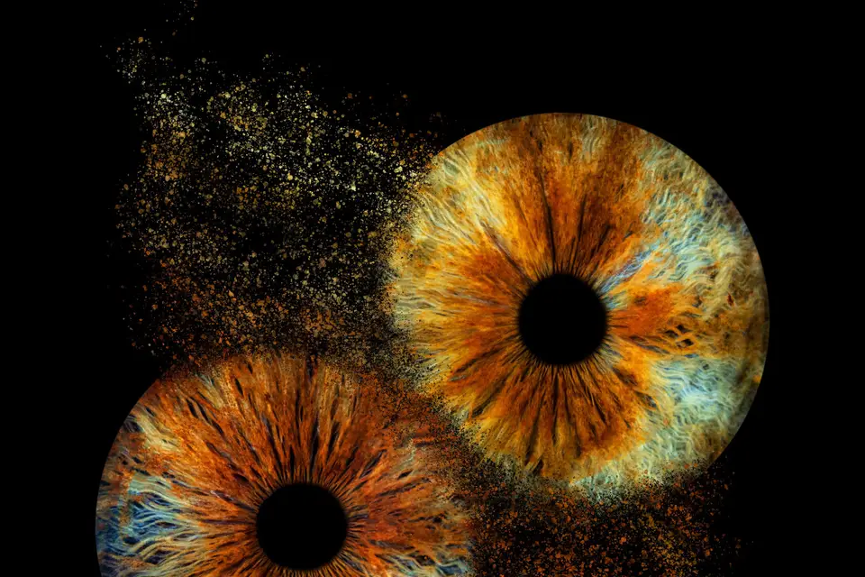 Iris Galerie — photo 1