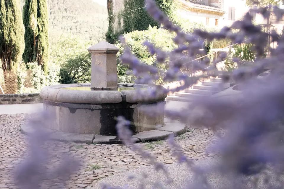 Douceur de Louve — photo 6