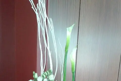 Flore & Event — photo 4