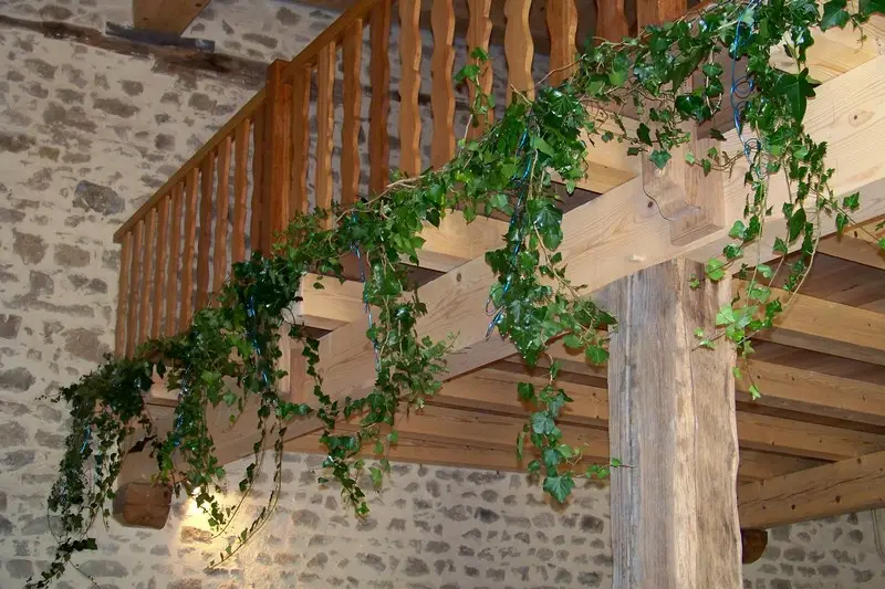 Flore & Event — photo 5