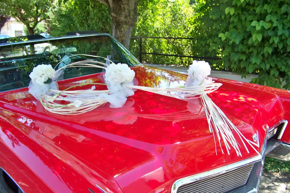 Flore & Event — photo 8