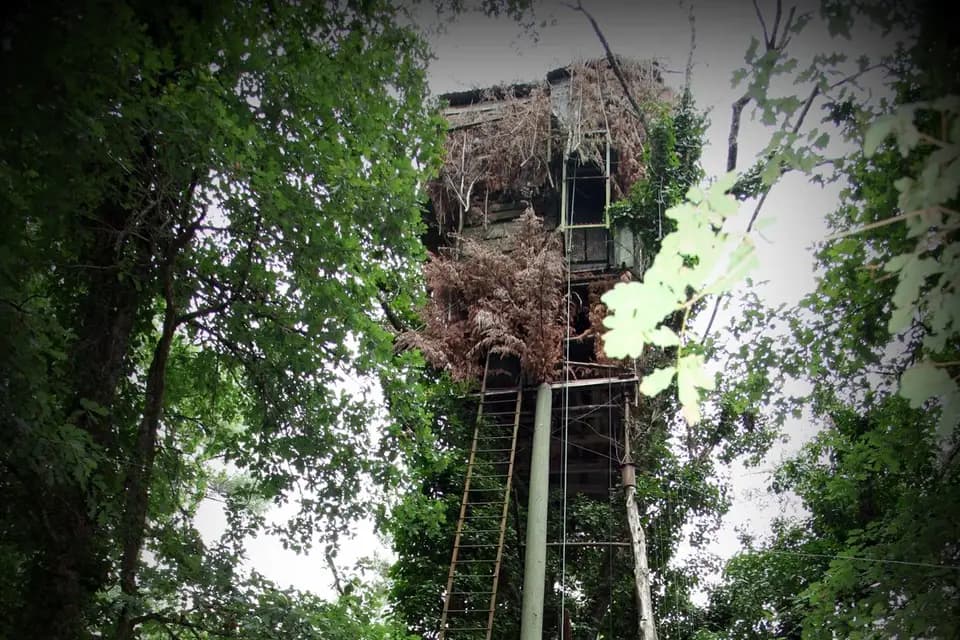 Studio Concept Image — photo 8