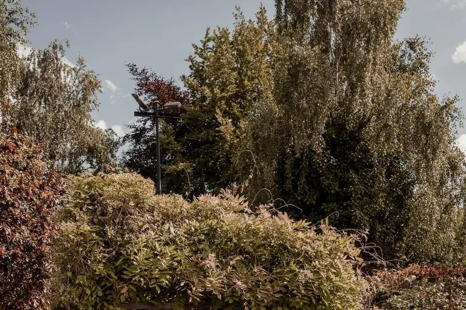 Le Domaine des Charmes — photo 6