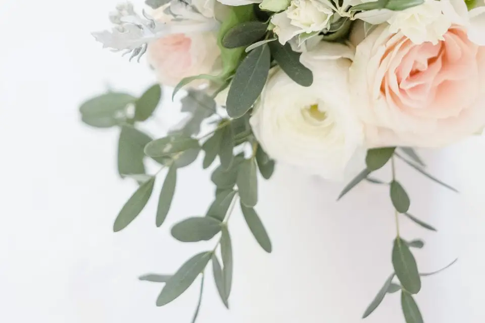 Elle & Nous — photo 7