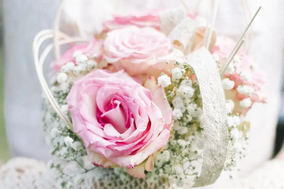 Elle & Nous — photo 2