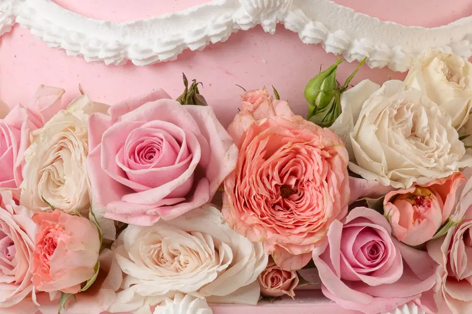 Lücas Spinelli — photo 2