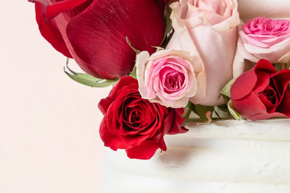 Lücas Spinelli — photo 6