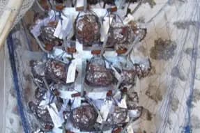 Tulle et Redingote — photo 8