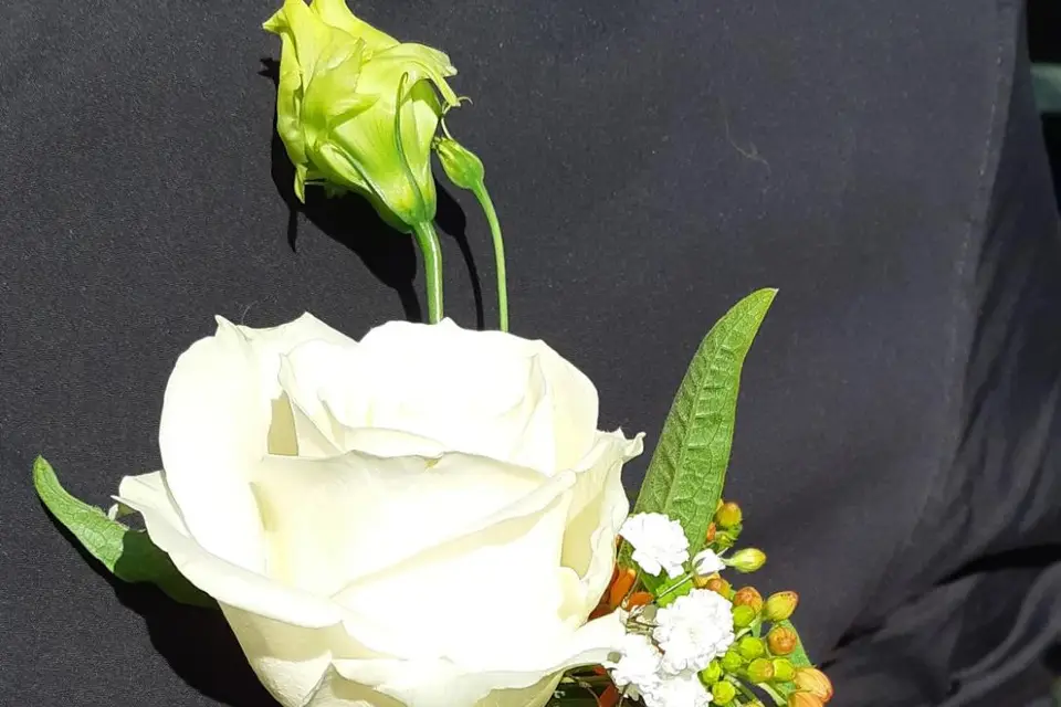 Histoire de Fleurs Tarbes — photo 2